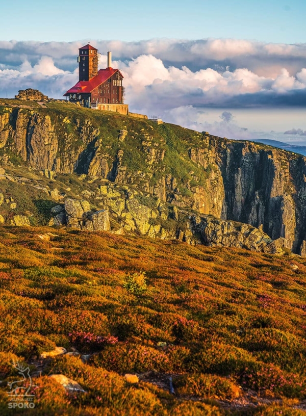 ŚNIEŻNE KOTŁY Wrzosowiska od Jelenia jest SPOKO_full