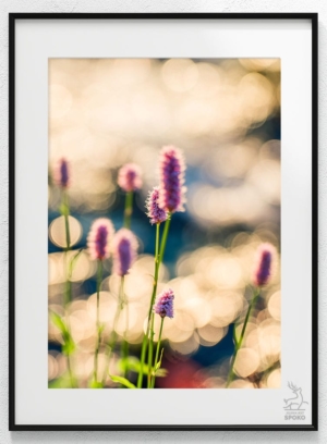 Zapach Karkonoszy 1 plakat od Jelenia jest SPOKO_wiz