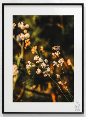 Zapach Karkonoszy plakat od Jelenia jest SPOKO_wiz