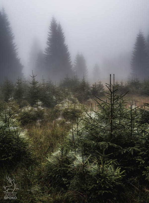 Karkonoskie Szlaki Babie Lato plakat od Jelenia jest SPOKO_full