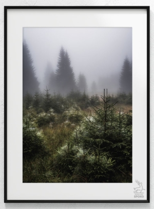 Karkonoskie Szlaki Babie Lato plakat od Jelenia jest SPOKO_wiz