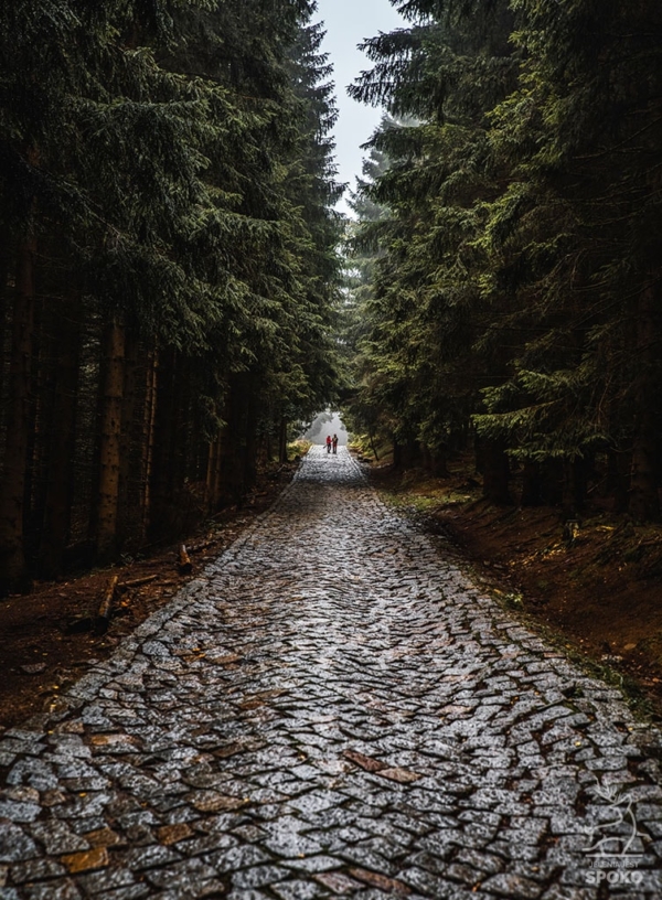 Karkonoskie Szlaki Leśna autostrada plakat od Jelenia jest SPOKO_full
