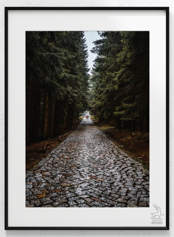 Karkonoskie Szlaki Leśna autostrada plakat od Jelenia jest SPOKO_wiz