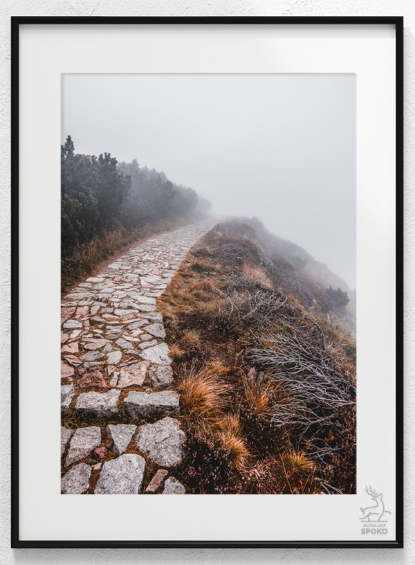 Karkonoskie Szlaki Pnącza plakat od Jelenia jest SPOKO_wiz