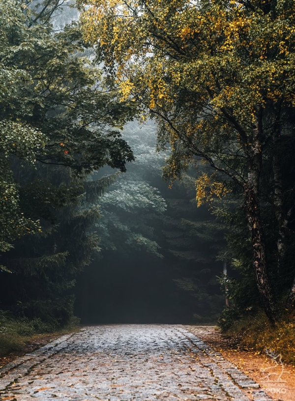 Karkonoskie Szlaki Powiew jesieniplakat od Jelenia jest SPOKO_full