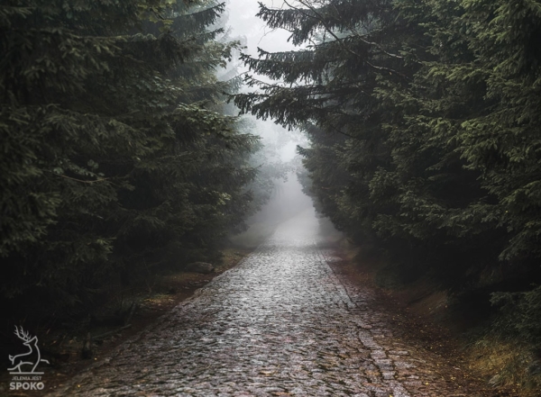 Karkonoskie Szlaki We mgle1 plakat od Jelenia jest SPOKO_full Karkonoskie Szlaki We mgle1 plakat od Jelenia jest SPOKO_full