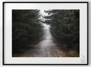 Karkonoskie Szlaki We mgle1 plakat od Jelenia jest SPOKO_wiz