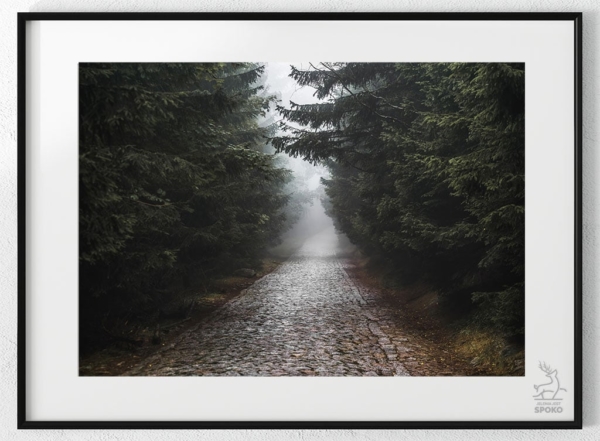 Karkonoskie Szlaki We mgle1 plakat od Jelenia jest SPOKO_wiz Karkonoskie Szlaki We mgle1 plakat od Jelenia jest SPOKO_wiz