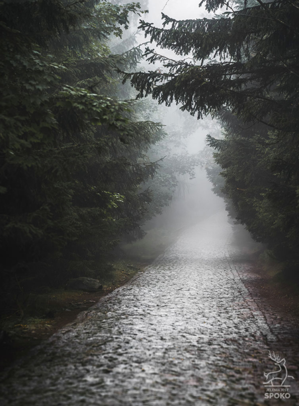 Karkonoskie Szlaki We mgle plakat od Jelenia jest SPOKO_full