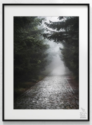 Karkonoskie Szlaki We mgleplakat od Jelenia jest SPOKO_wiz