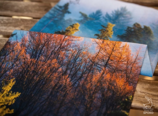 Komin wielofunkcyjny Barwny Las od Jelenia jest SPOKO