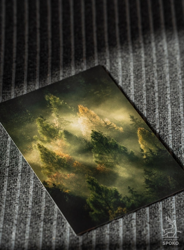 MiniWydruk Leśna Piramida o wschodzie od Jelenia jest SPOKO