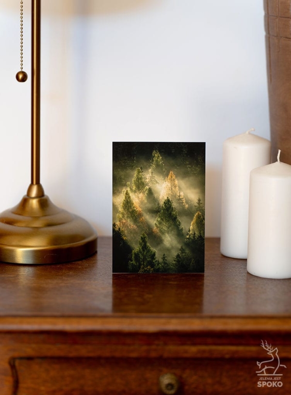 MiniWydruk Leśna Piramida od Jelenia jest SPOKO