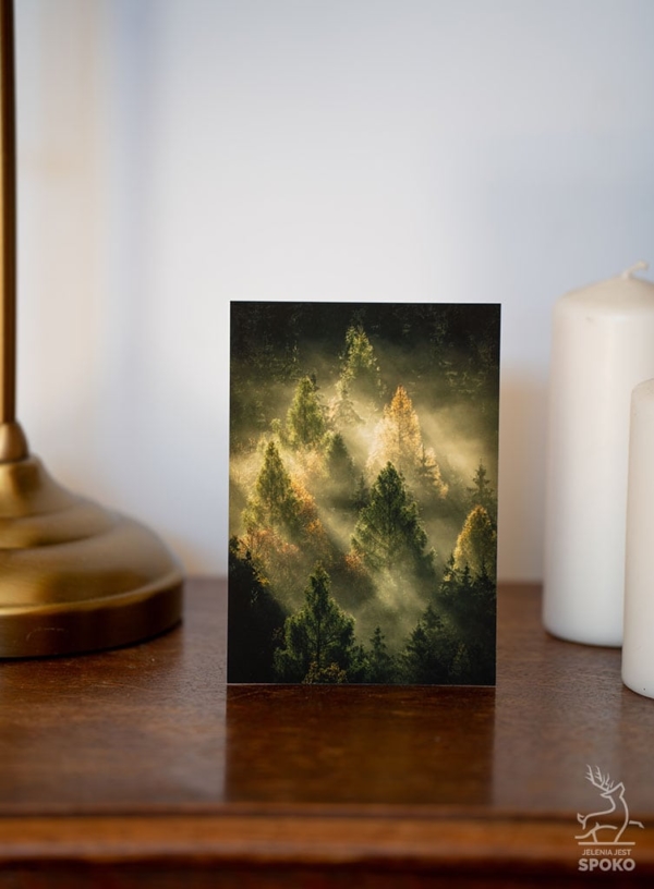 MiniWydruk Piramida Leśna od Jelenia jest SPOKO