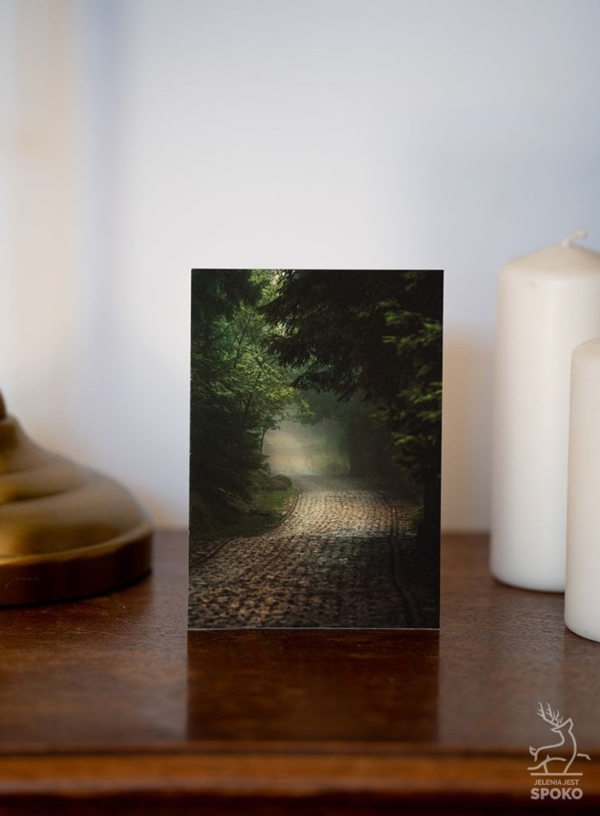 MiniWydruk Szlak w Karkonoszach od Jelenia jest SPOKO