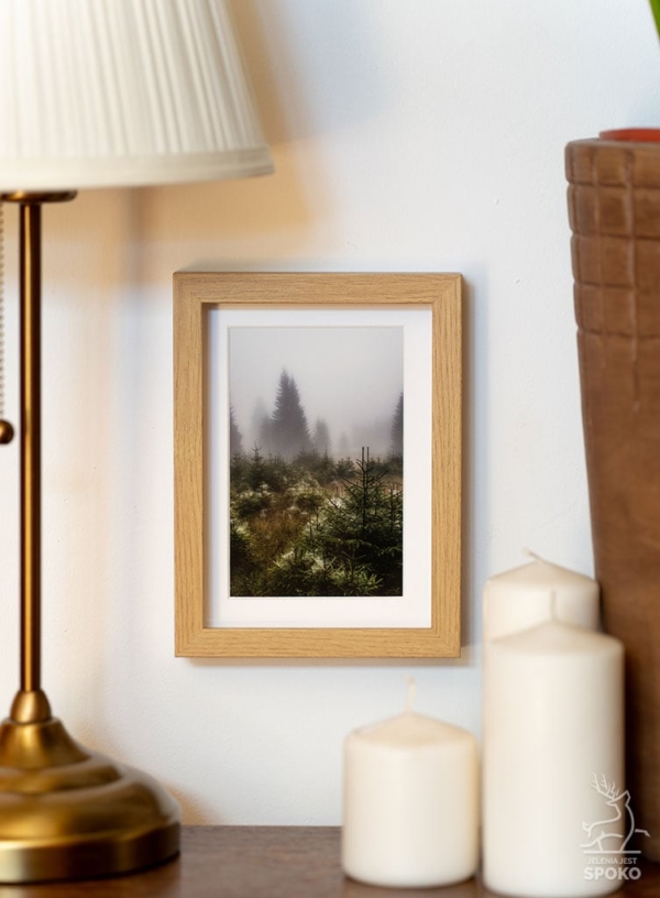 MiniWydruk w ramce Pajęczyny we Mgle od Jelenia jest SPOKO