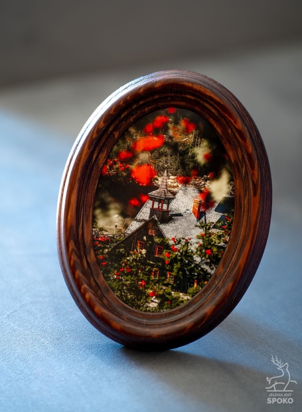 MiniWydruk w ramce Samotnia od Jelenia jest SPOKO