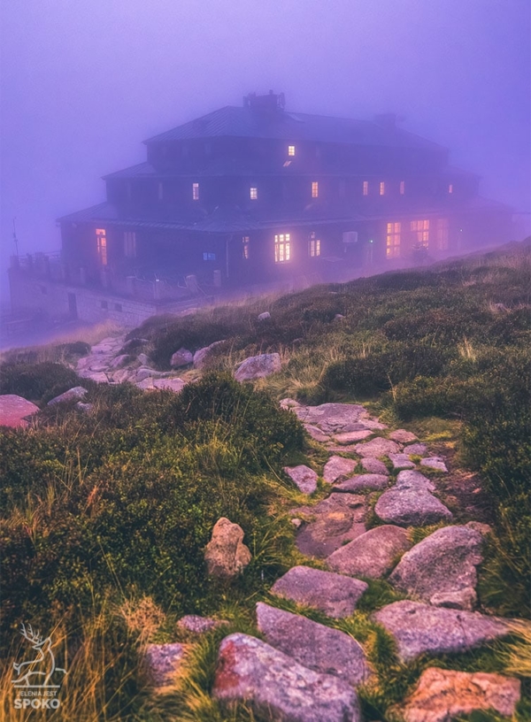 SCHRONISKA Odrodzenie statek widmo plakat od Jelenia jest SPOKO_full