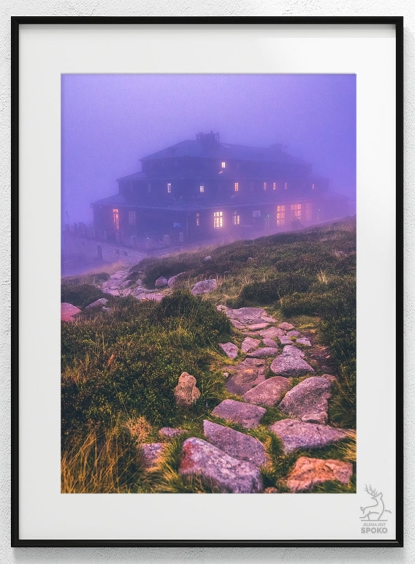 SCHRONISKA Odrodzenie statek widmo plakat od Jelenia jest SPOKO_wiz