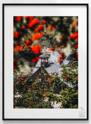 SCHRONISKA Samotnia Jarzębinowa plakat od Jelenia jest SPOKO_wiz