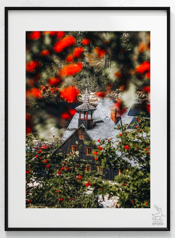 SCHRONISKA Samotnia Jarzębinowa plakat od Jelenia jest SPOKO_wiz SCHRONISKA Samotnia Jarzębinowa plakat od Jelenia jest SPOKO_wiz