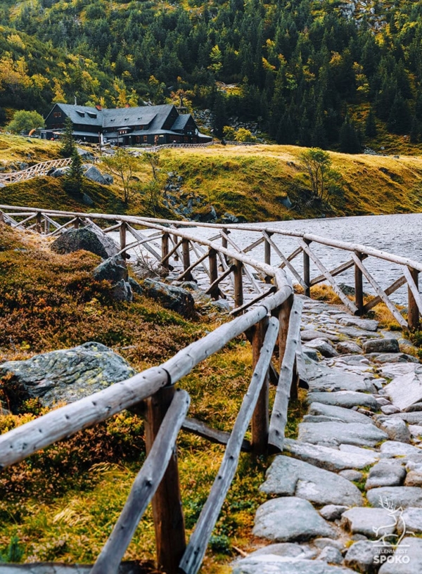 SCHRONISKA Samotnie ku Samotni plakat od Jelenia jest SPOKO_full