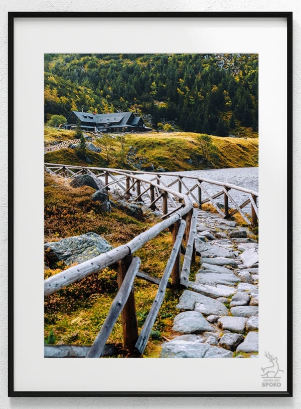 SCHRONISKA Samotnie ku Samotniplakat od Jelenia jest SPOKO_wiz