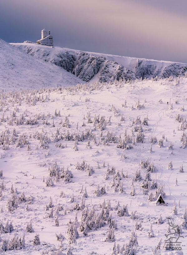Śnieżne Kotły Samotna Podróż plakat od Jelenia jest SPOKO_full