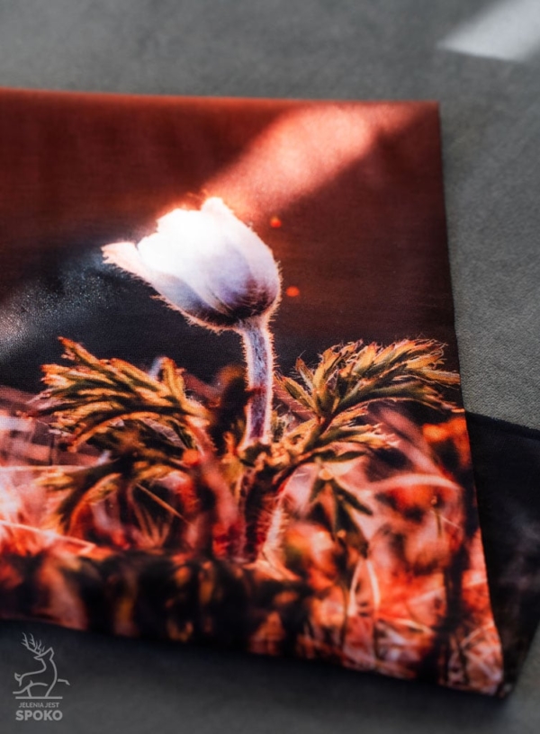 Komin wielofunkcyjny Sasanka od Jelenia jest SPOKO