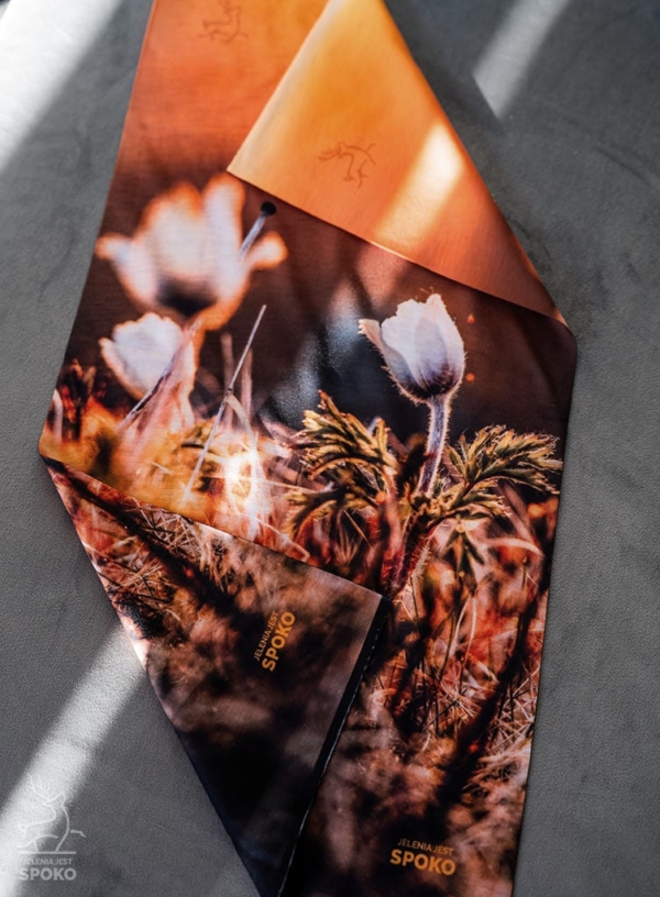 Komin wielofunkcyjny Sasanka od Jelenia jest SPOKO