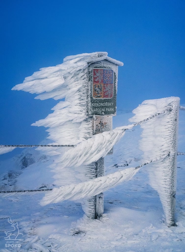 Biegun północny_full Biegun północny_full