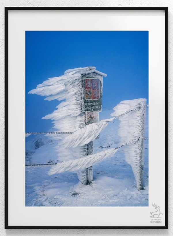 Biegun północny_wiz Biegun północny_wiz