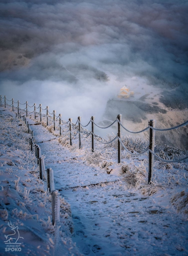 DOM ŚLĄSKI Pod falą_full