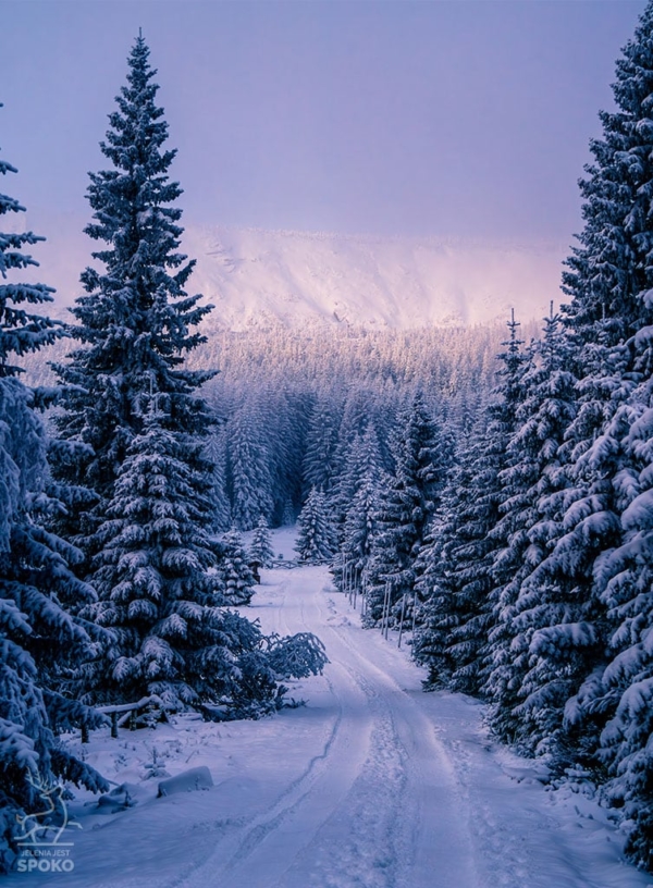 Karkonoskie Szlaki Kierunek Narnia_full