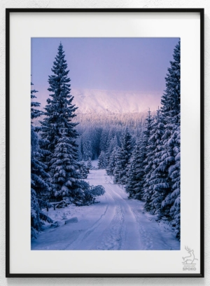 Karkonoskie Szlaki Kierunek Narnia_wiz