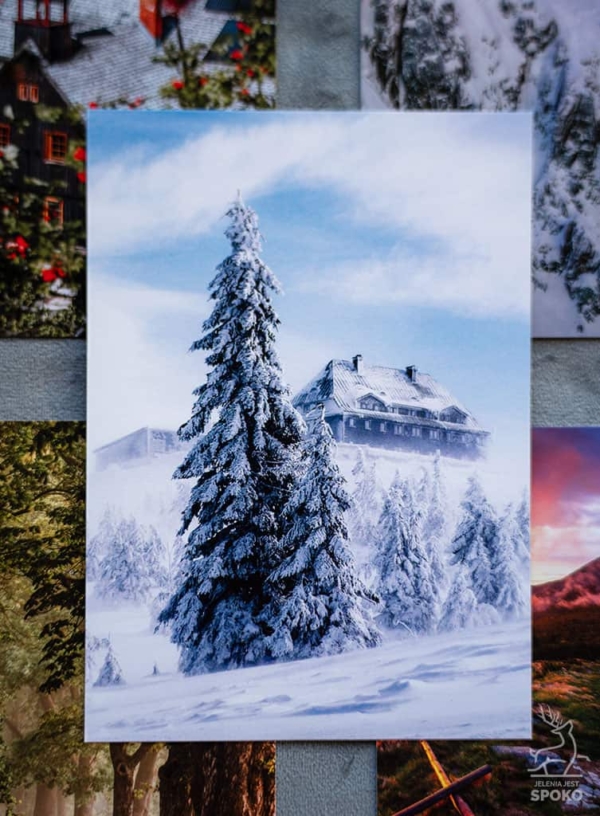 Zestaw pocztówek od Jelenia jest SPOKO Zestaw pocztówek od Jelenia jest SPOKO