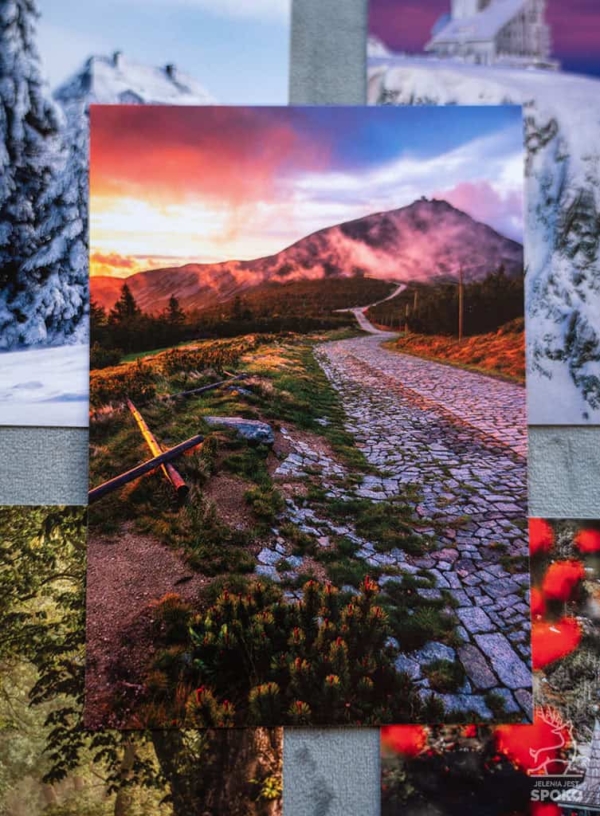 Zestaw pocztówek od Jelenia jest SPOKO Zestaw pocztówek od Jelenia jest SPOKO