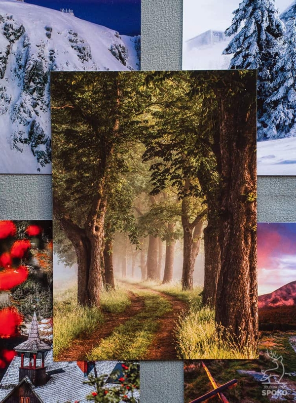 Zestaw pocztówek od Jelenia jest SPOKO Zestaw pocztówek od Jelenia jest SPOKO