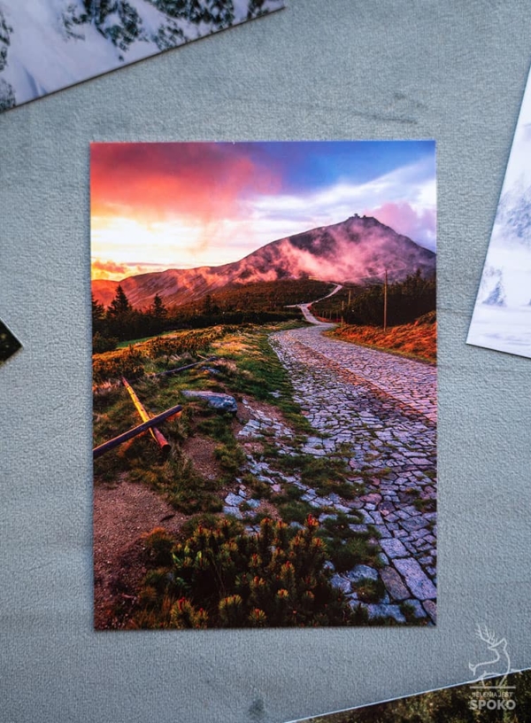 Zestaw pocztówek od Jelenia jest SPOKO Zestaw pocztówek od Jelenia jest SPOKO