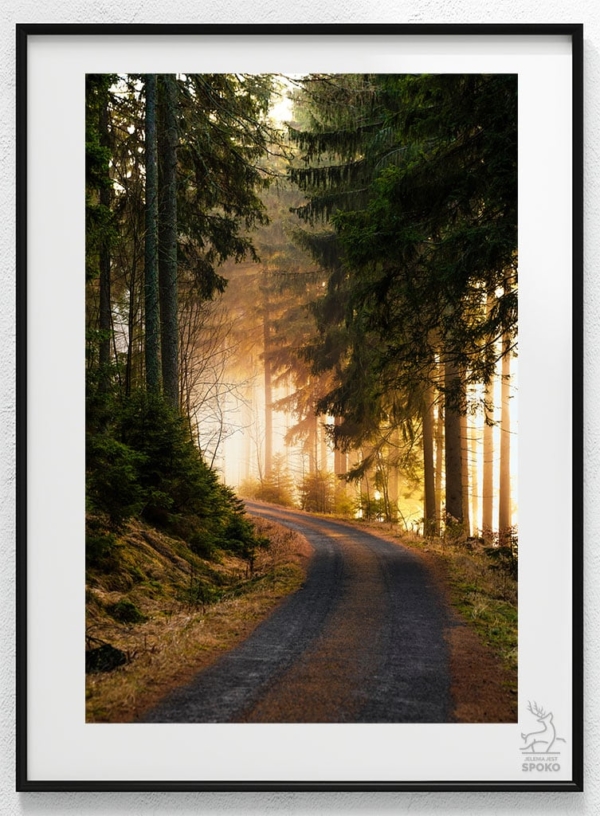 Karkonoskie Szlaki W jesiennym lesie_wiz Karkonoskie Szlaki W jesiennym lesie_wiz