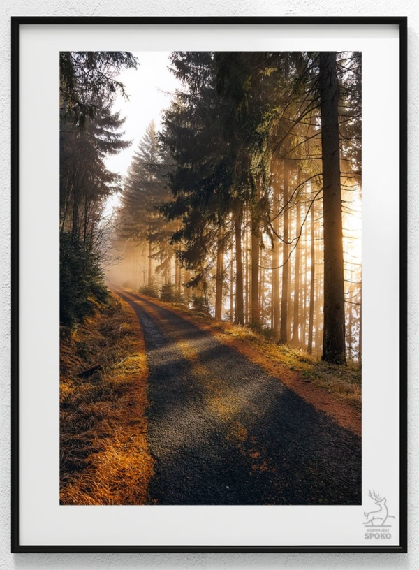 Karkonoskie Szlaki W jesiennym lesie_wiz Karkonoskie Szlaki W jesiennym lesie_wiz