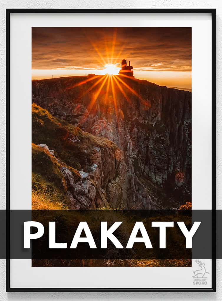 Plakaty premium od Jelenia jest SPOKO
