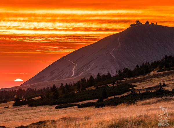 ŚNIEŻKA Wschód na sawannie plakat od Jelenia jest SPOKO_full