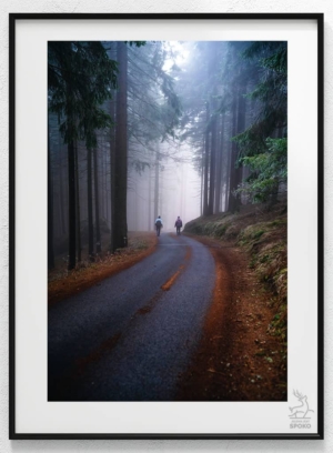 W karkonoskim lesie 3_wiz