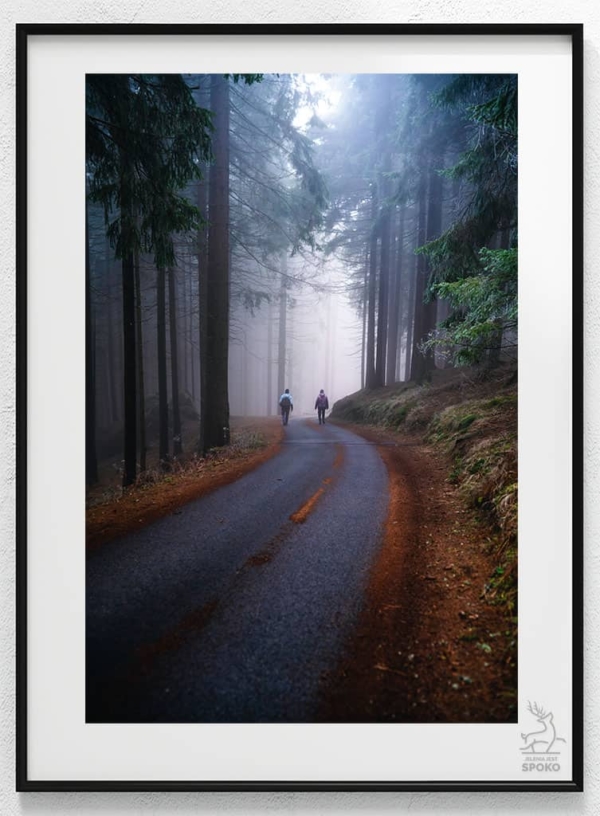 W karkonoskim lesie 3_wiz