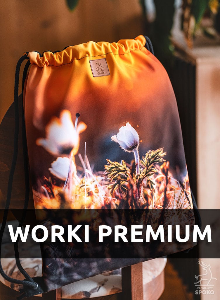 Worki Premium inspirowane Karkonoszami od Jelenia jest SPOKO