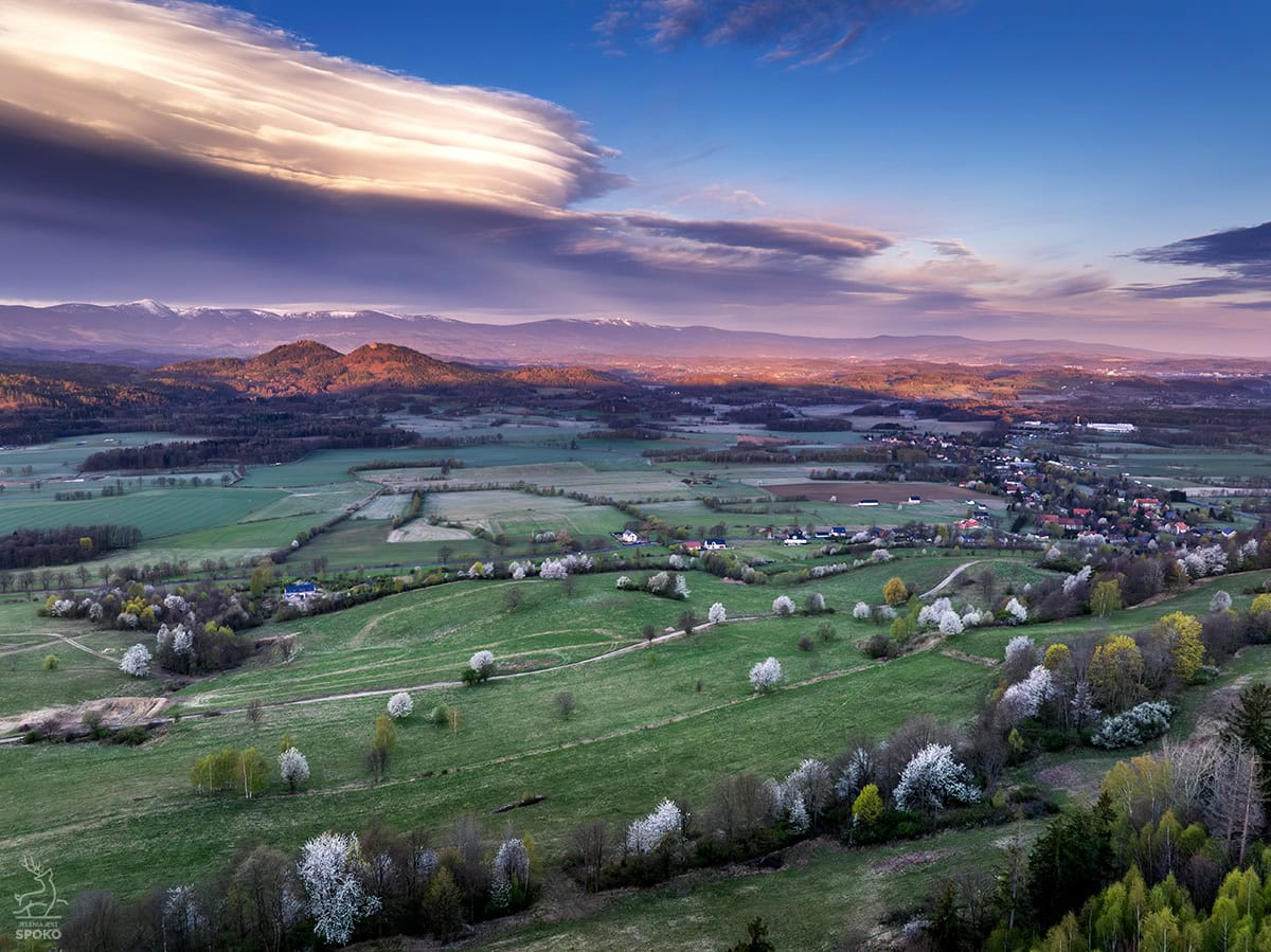 Różanka od Jelenia Jest Spoko 9