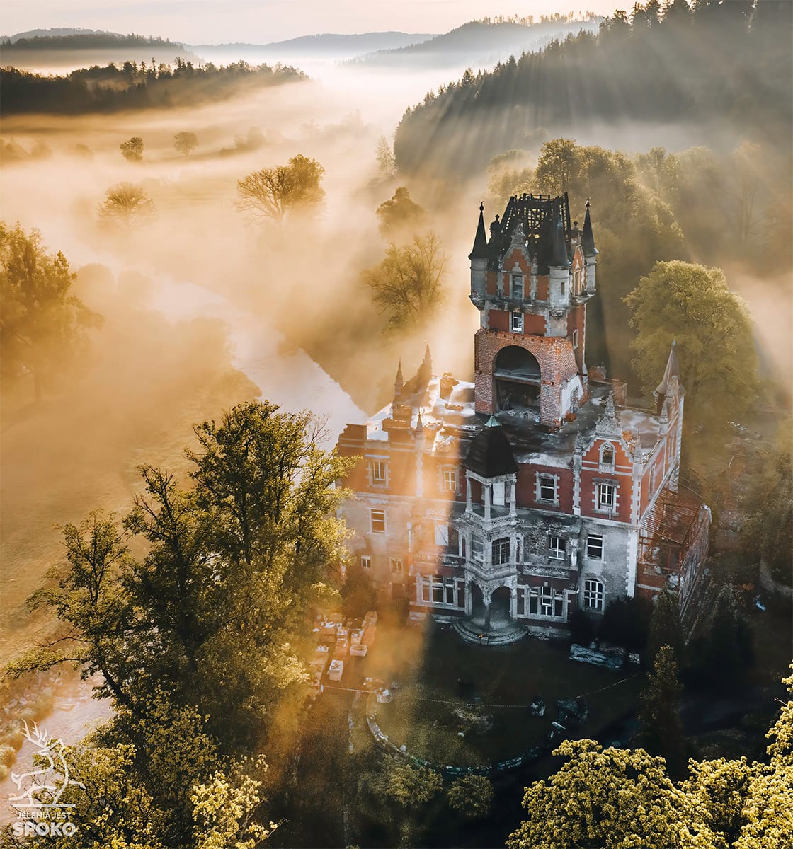 Bobrów_jelenia jest Spoko_1