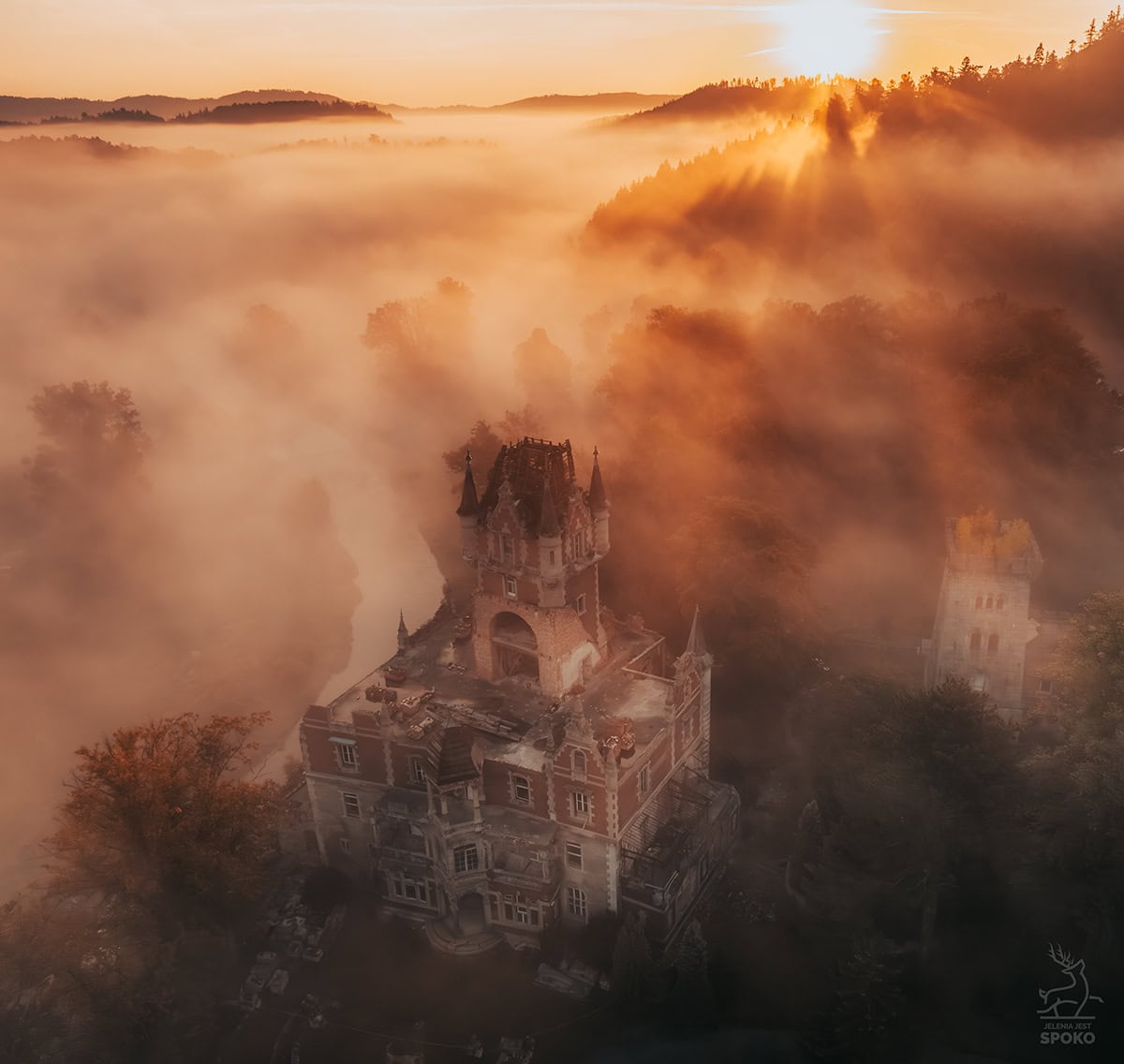 Bobrów_jelenia jest Spoko_4