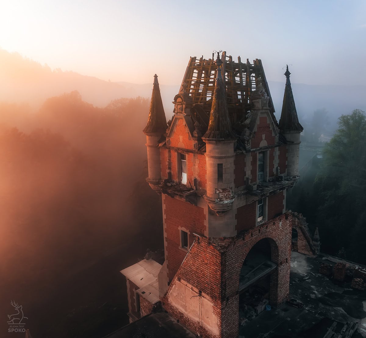 Bobrów_jelenia jest Spoko_7